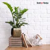 A decorative plant pot with a ZZ plant sits on a wooden surface in front of a white brick wall. Next to the pot are two notebooks and a decorative ampersand. Produktbild-Vorschau
