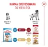 Royal Canin Medium Puppy, Štěně, Střední (11 - 25kg), Náhled obrázku produktu 22