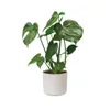 elho b.for Soft Rund 14cm Übertopf - weiss Produktbild-Vorschau 7