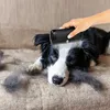 Haarpflegebürste MR Waggy Tails Brush - Groomify - für Produktbild-Vorschau 2