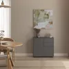 Komoda „Paarl” z 2 drzwiami i 2 szufladami, 74 x 79 x 36 Podgląd zdjęcia produktu 4