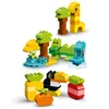 LEGO 10934 DUPLO Bausteine - Großer Tierpaß, Lernspielzeug Produktbild-Vorschau 3