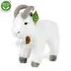 RAPPA Capra/capra di peluche 20 cm ECO-FRIENDLY Anteprima dell’immagine prodotto 2