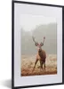 MuchoWow® MuchoWow® Gerahmtes Poster Hirsche - Wald - Nebel Produktbild-Vorschau 1