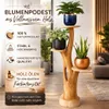 Blumenständer mit 3 Ablagen Blumenpodest Pflanzenständer Produktbild-Vorschau 3