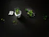 ZWILLING Enfinigy Hochleistungsstandmixer (53000-000-0) Produktbild-Vorschau 13