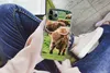 MuchoWow® Handyhülle Schutzhülle Hülle für iPhone 11 Pro Produktbild-Vorschau 3