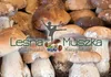 Borowiki Borowik Prawdziwek Grzyby Mrożone Cold Pack 5Kg Podgląd zdjęcia produktu 2