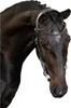 PS of Sweden Trense Helsinki Trensenzaum Black Cob Produktbild-Vorschau 9