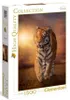 Clementoni 31806 - 1500 T High Quality Collection - Tiger Produktbild-Vorschau 9