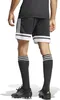 adidas SQUADRA 25 SHORTS  Herren Trainingsshorts Produktbild-Vorschau 4