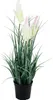 Kunstgras Lafiora Gras im Topf H 45 cm Produktbild-Vorschau 3