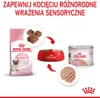 Royal Canin BABYCAT INSTINCTIVE - Nassfutter für Katzen - Produktbild-Vorschau 10