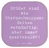 Mr. & Mrs. Panda Untersetzer Glas Spruch Brüder Produktbild-Vorschau 1