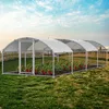 Kurnik Izrielar 3x8x2 m z dachem kopułowym, ocynkowana Podgląd zdjęcia produktu 6