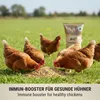 Agrarzone ekologiczna pasza dla kur niosek Immune Plus 20 Podgląd zdjęcia produktu 3