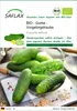 SAFLAX - BIO - Gurke - Vorgebirgstraube - Cucumis sativus - Produktbild-Vorschau 1