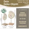 LS-LebenStil Deko Objekt Set 2x Muschel Mango Holz Produktbild-Vorschau 2