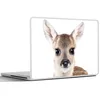 MuchoWow® Laptop Aufkleber Sticker Cover Hirsche - Tiere - Produktbild-Vorschau 6