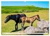 Südengland - On the road in Devon und Cornwall Produktbild-Vorschau 6