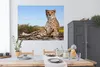 MuchoWow® Poster Leopard - Tiere - Natur 160x120 cm - Foto Produktbild-Vorschau 3