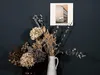 Schallplatten Wandhalterung 6er Set | OHNE BOHREN! | LP Produktbild-Vorschau 6