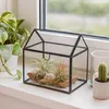Terrarium végétal Relaxdays, verre et étain, serre Voir les images du produit 2