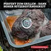 FMprofessional XXL Bräter 40 x 34 cm BBQ, hochwertige Produktbild-Vorschau 5