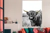 MuchoWow® Poster Schottisches Hochlandrind - Gras - Gold Produktbild-Vorschau 3