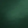 A close-up, textured view of a dark green surface, likely wallpaper. Produktbild-Vorschau