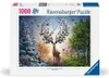 Der magische Hirsch und die vier Jahreszeiten Ravensburger Produktbild-Vorschau 1