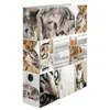 Herma 7166 Teczka Motif cats A4 70 mm(S) Podgląd zdjęcia produktu 8