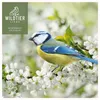 wildtier liebe Edel Mehlwürmer getrocknet 2 x 5L I Produktbild-Vorschau 7