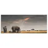 DEQORI Hybrid Leinwand Bild 150x60 cm 'Savannen Dämmerung' Produktbild-Vorschau 2