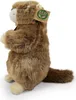 Marmotta di peluche, 23 cm, ecologica Anteprima dell’immagine prodotto 8