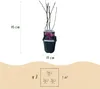 Green boutiQ - Heesters -  Magnolia Susan  - Bloemen Donker Voir les images du produit 3