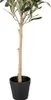 Clayre & Eef Künstlicher Olivenbaum 70 cm Grün Kunststoff Produktbild-Vorschau 4