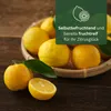 Meine Orangerie Yuzu Baum- Citrus Junos - 110-130cm - Produktbild-Vorschau 3