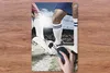 MuchoWow® Mauspad Mousepad Duell um den Ball 40x60 cm - Produktbild-Vorschau 3