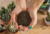 LECHUZA-Pflanzsubstrat CACTUSPON 6 Liter | für Kakteen und Produktbild-Vorschau 2