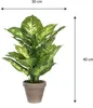 Mica Decorations Plante artificielle Dieffenbachia - Voir les images du produit 3