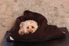 Sac de couchage pour chien Teddy couleur chocolat – Niche Voir les images du produit 3