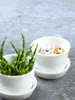 ASA Mini Souffle Schälchen rund mit Deckel 250 °C Produktbild-Vorschau 4