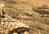 Modernes Wandbild 030107-21 (200x100) - 5 Teilig Bilder Produktbild-Vorschau 4