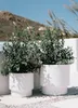 Prosperplast s.r.o. Pot de fleurs avec insert HEOS blanc Voir les images du produit 21