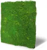 A square panel of artificial moss, presented at an angle against a white background. Produktbild-Vorschau