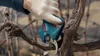 Bosch Pro Pruner Akku-Astschere Produktbild-Vorschau 13