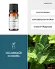 Pfefferminz (10ml) - naturreines, ätherisches Öl von Produktbild-Vorschau 2