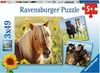 Liebe Pferde Ravensburger 08011 Produktbild-Vorschau 1