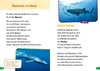 WAS IST WAS Erstes Lesen easy! Band 19. Tierische Rekorde Produktbild-Vorschau 4